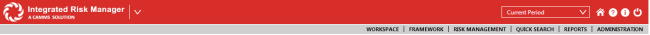 irm_risktopnavigation.png