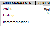sycle_riskauditmenu.png